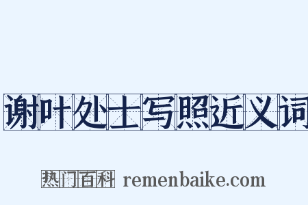 谢叶处士写照近义词是什么意思的图片